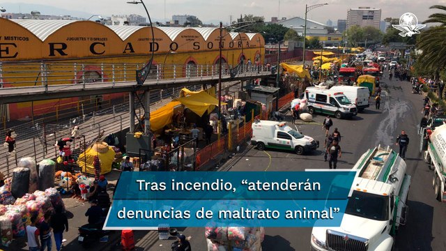 Corto circuito causó incendio en el Mercado de Sonora: Sheinbaum