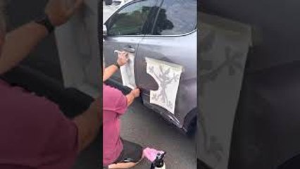 Car Damage Decorated With Looney Tunes Stickers