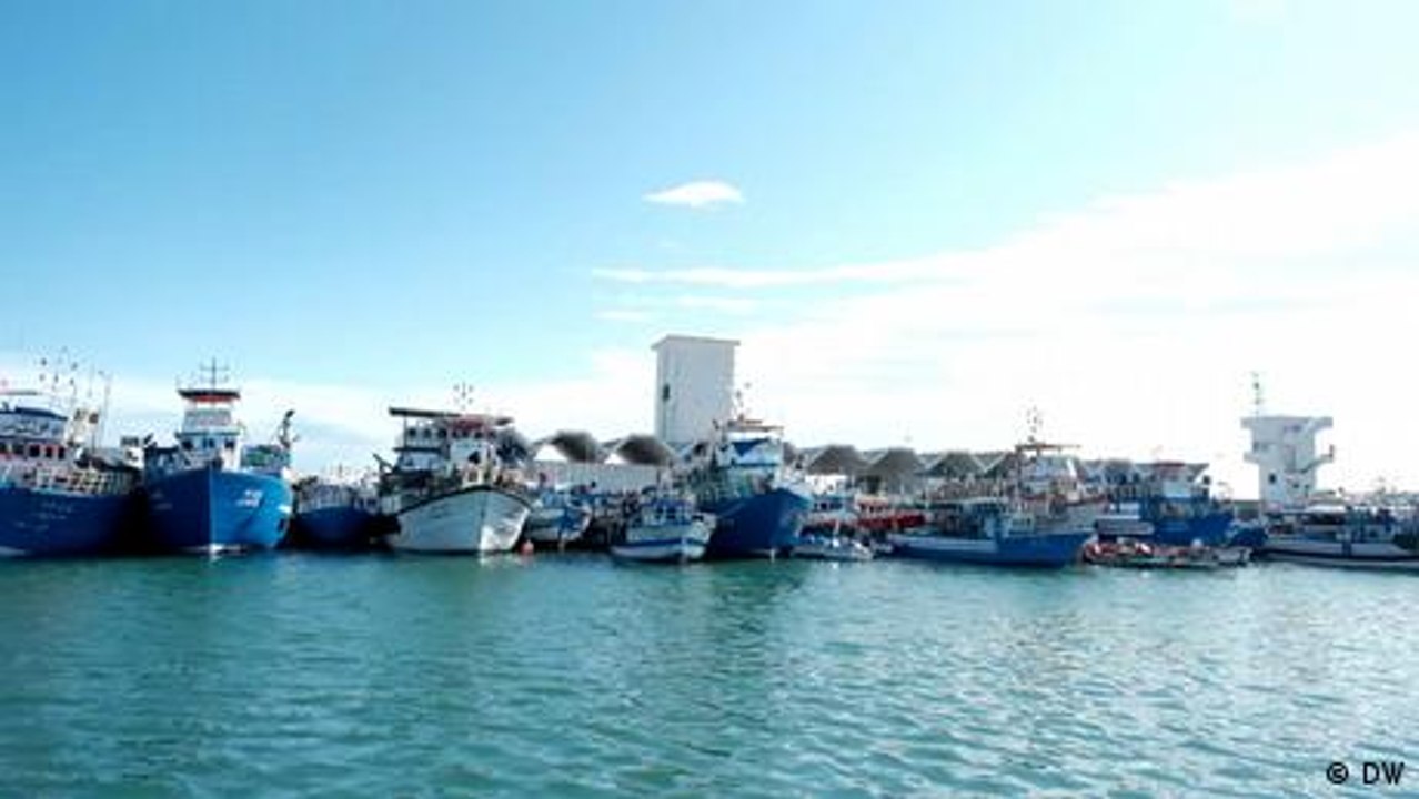 Sustainable fishing in Tunisia