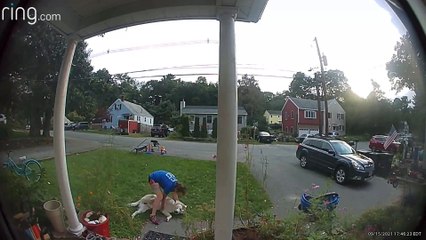 Dog Refuses to Go Inside Because the Weather's Nice