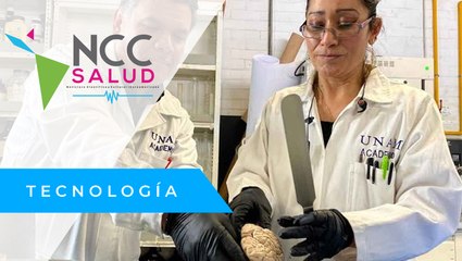 Un Biobanco de cerebros para el estudio de enfermedades neurodegenerativas