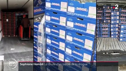Trafic de drogue : Sofiane Hambli, l'itinéraire d'un baron en cavale