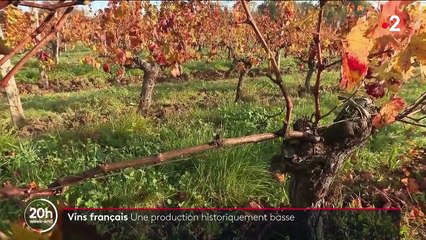Vin : une mauvaise année pour les producteurs français