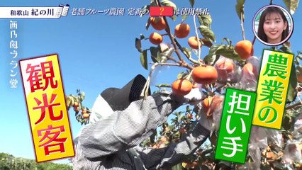 211102-1　西乃風ブラン堂 #4 UE KW  1080T