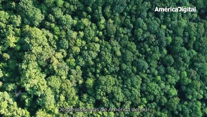 Ciudades perdidas que la arqueología todavía no ha logrado encontrar
