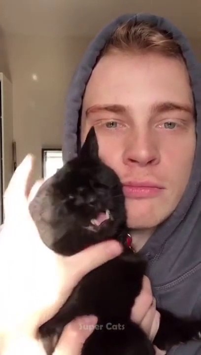 What you do Meow Wa Wa Wa  #Cat