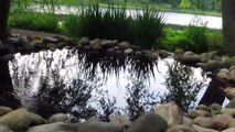 Rocky Pond Hidden Lake Gardens