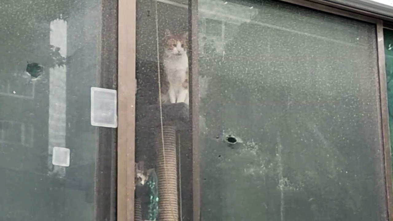 平穏な日常の中で外を見る