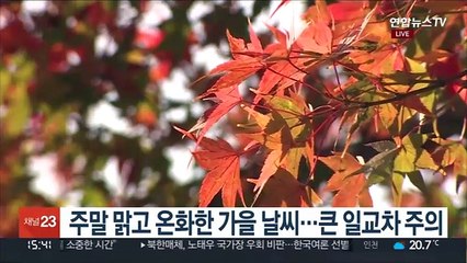 [날씨] 주말 포근한 늦가을…월요일 비 내리고 기온 '뚝'