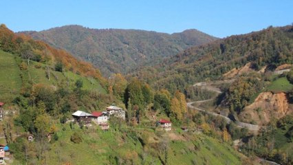 Bal ormanına taş ocağı için bilirkişi raporu çıktı
