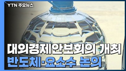 정부, 대외경제안보전략회의 열고 반도체 정보 제공·요소수 논의 / YTN
