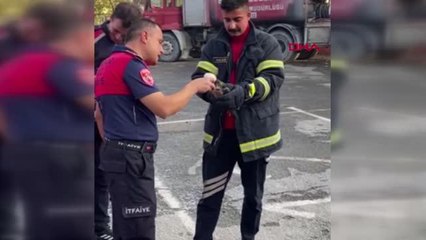 MİSİNALI TUZAĞA YAKALANAN GÖKDOĞAN DOĞAYA BIRAKILDI