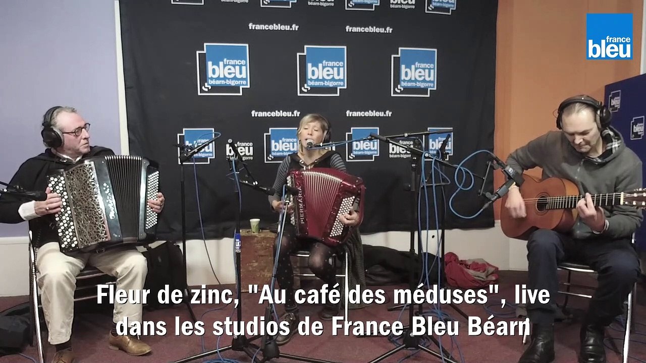 Fleur de zinc, "Au café des méduses"