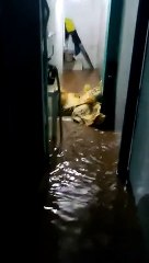 களக்காட்டு ஆறு, கால்வாய்களில் வெள்ளப்பெருக்கு.. அவதிக்குள்ளான பொதுமக்கள் - வீடியோ
