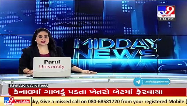 Delhi NCB SIT team arrives in Mumbai to probe 6 cases including Aryan Khan's _ TV9News