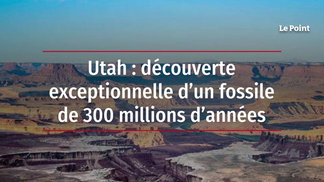 Utah : découverte exceptionnelle d’un fossile de 300 millions d’années