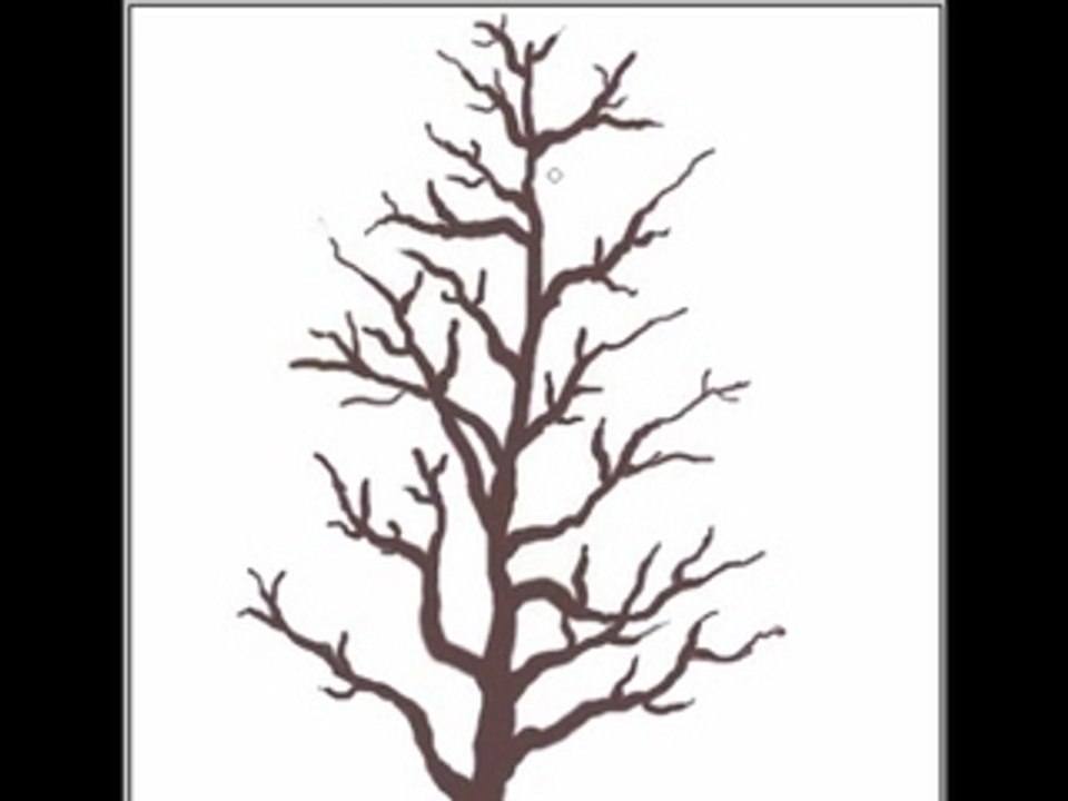 Pruning Lesson 1