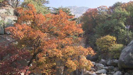 일상회복 첫 주말...가을 단풍·전시회 '북적' / YTN