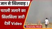 Punjab: Ludhiana में किसानों ने जलाई पराली, Delhi में बढ़ा Air Pollution| #Shorts| वनइंडिया हिंदी