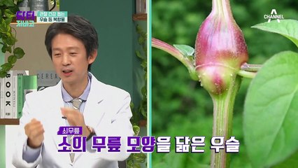 관절 건강 돕는 우슬 등 복합물
