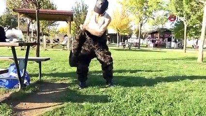 Bursa’da ayı kostümüyle parka girdi! Zehirli mantara karşı uyarıda bulundu