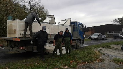 Déversement de poissons dans l'Escaut
