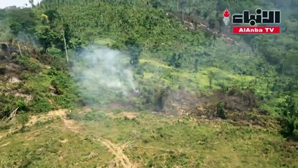 منطقة الأمازون تقترب من نقطة تحول لا رجوع عنها