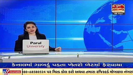 Junagadh_ Rise in footfall at Sasan Gir during Diwali-break _ TV9News