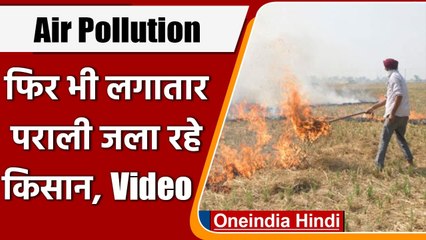 Download Video: Delhi Air Pollution: नहीं थम रहा पराली जलाने का सिलसिला, Delhi-NCR में बढ़ा प्रदूषण | वनइंडिया हिंदी