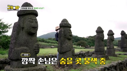 꼭꼭 숨어라 머리카락 보일라, 대낮에 펼쳐진 숨바꼭질!