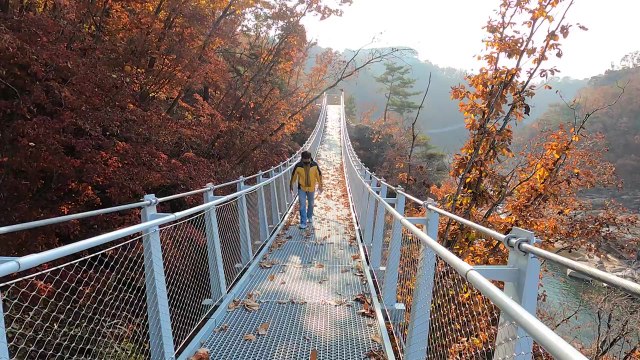 주상절리 절경 한눈에...미리 가본 한탄강 절벽길 / YTN