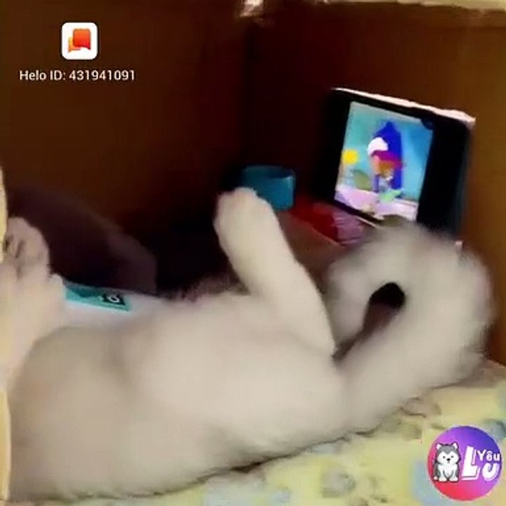 một mái nhà tranh 2 quả tim vàng