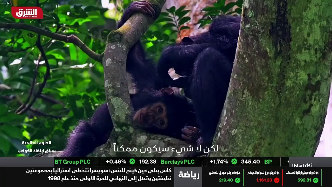 ...حل مشكلة بافات الكربون أو تصميم مواد بلا...