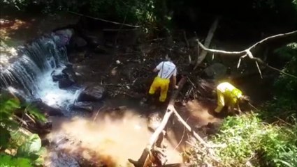 ONG Amigos dos Rios realiza ação no Tarumã