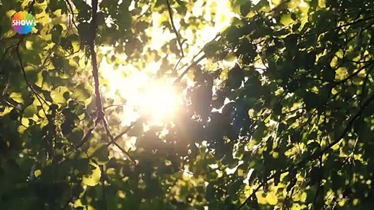 Aziz 2. Bölüm 1. Fragman _ 'Bu geceden sonra burada sana ait hiçbir şey kalmayacak!'