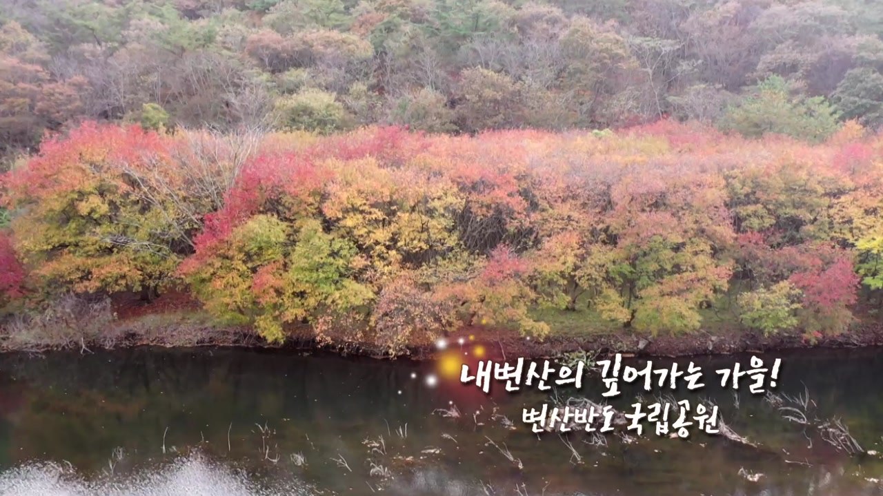 [영상] 내변산의 깊어가는 가을! / YTN