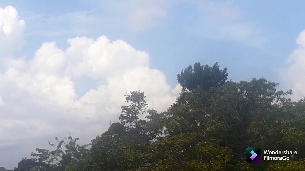 Airbus A321 PT-MXG vindo de Brasília/Cessna 208B Grand Caravan PT-MEA/Airbus A330 PR-AIU