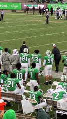 Squirrel Scores a Touchdown