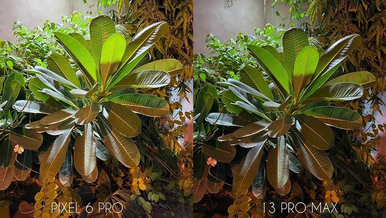 Google Pixel 6 Pro vs iPhone 13 Pro Max Camera T