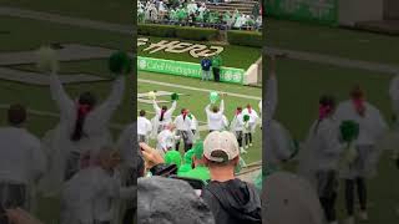 Squirrel Scores a Touchdown video Dailymotion