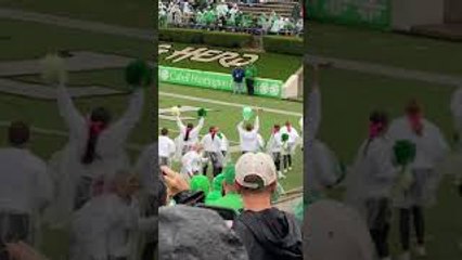 Squirrel Scores a Touchdown