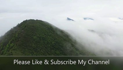 অন্তর শীতল করা তিলাওয়াত