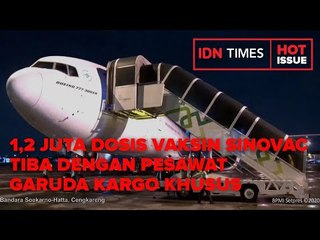 Download Video: 1,2 Juta Dosis Vaksin Sinovac Tiba dengan Pesawat Garuda Kargo Khusus