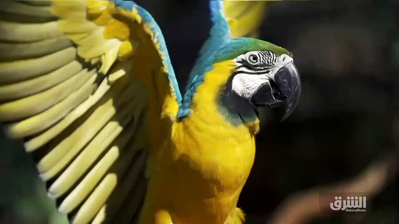...وأمن حتى آخر يوم من عمره بأنه اكتشف مسار...
