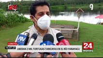 Loreto: liberan a 2 mil tortugas taricayas