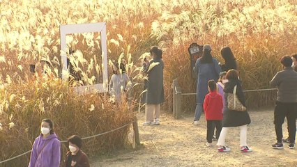 [날씨] 30년 만에 가장 따뜻한 '입동', 내일부터 기온 '뚝' / YTN
