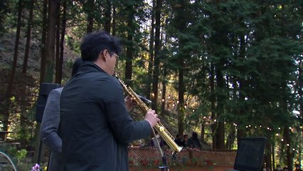 코로나 스트레스 날려요...치유하며 만끽하는 숲 속 파티 / YTN