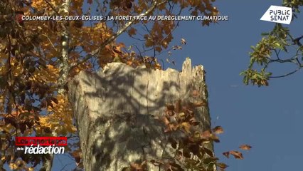 Les reportages de la rédaction (03/11/2021)