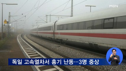 독일 고속열차에서 '묻지마 흉기 난동'…3명 중상