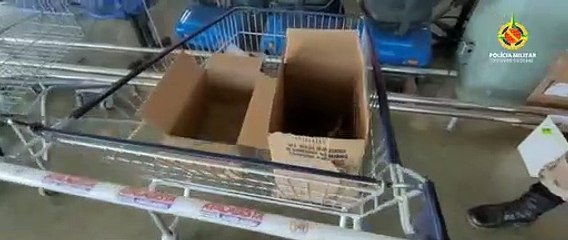 PMDF resgata saruê vítima de atropelamento no Jardim Botânico